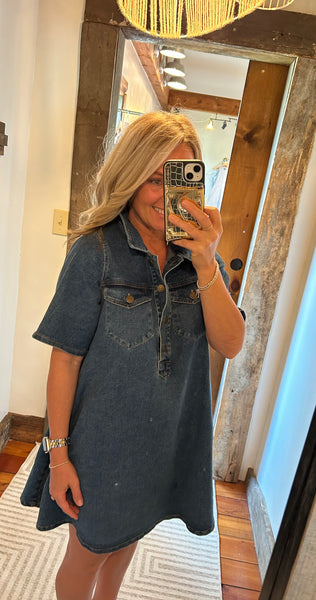 Paloma Denim Dress