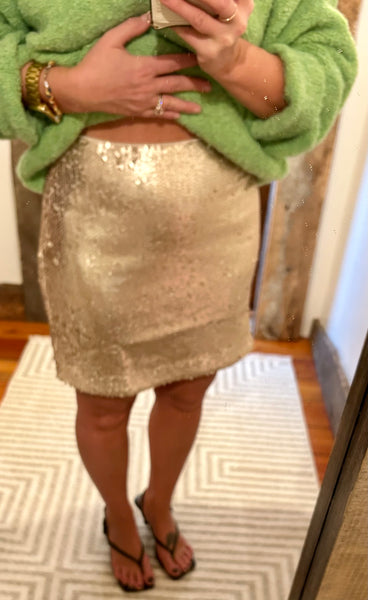 Talk That Talk Sequin Skirt