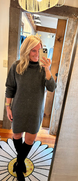 Richie Turtleneck Sweater Dress