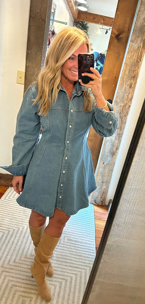 Lexi Denim Dress