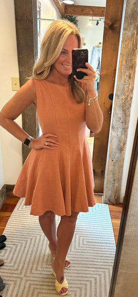 Dilly Dally Mini Dress