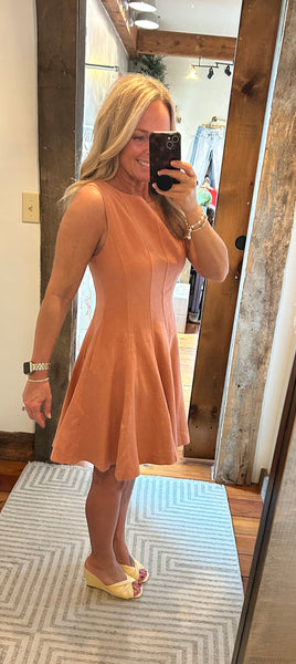 Dilly Dally Mini Dress