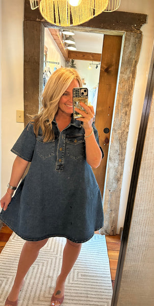Paloma Denim Dress
