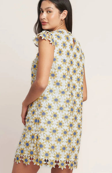 Violet Lace Shift Dress