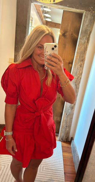 Clara Tie Mini Dress