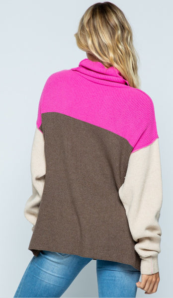 Colorblock Cowl Neck Sweater - The Green Shelf Boutique